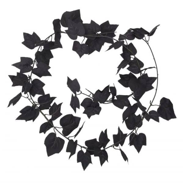 BLACK IVY LENGJA - 1,8M